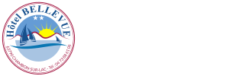 Hôtel Bellevue Lac Chambon